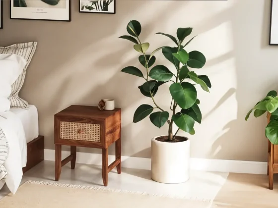 Japandi bedroom plants banner