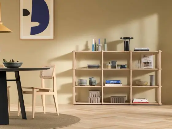 japandi bookshelf